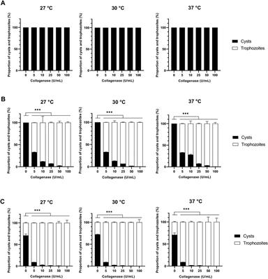 Stimulation of <mark class="highlighted">Acanthamoeba castellanii</mark> excystment by enzyme treatment and consequences on trophozoite growth